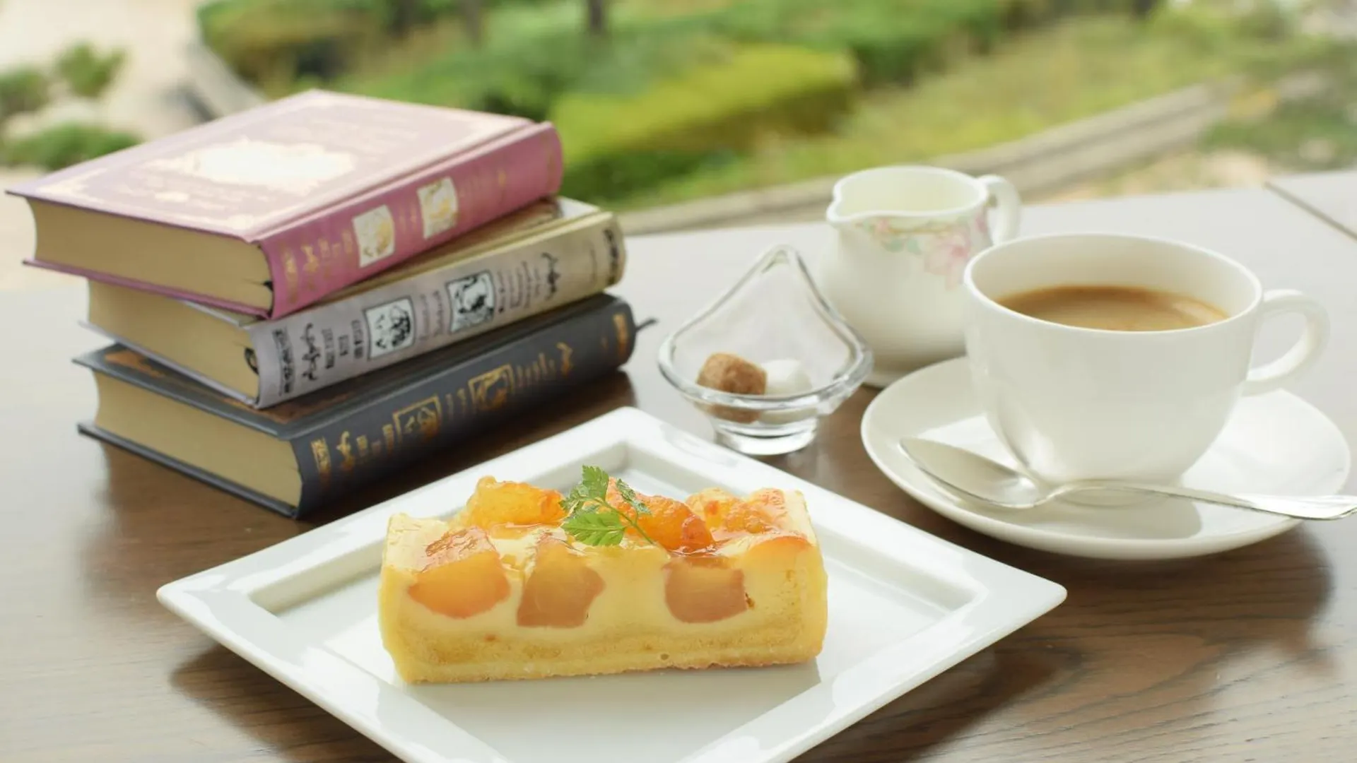 Bayside Hotel Azur Takeshiba Tokyo Japan